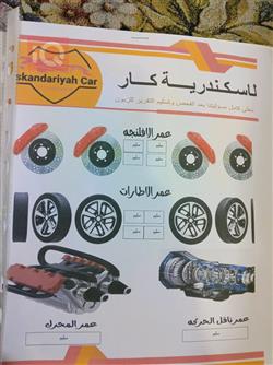 شيري تيجو4 برو